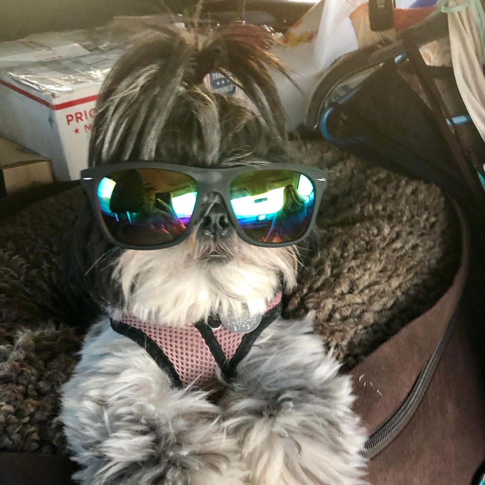 Meet your Posher, Constance